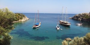 Mavi Yolculuk Rehberi