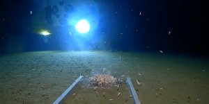 Mariana Çukuru'nda şaşkına çeviren manzara