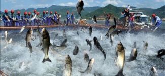 Dinamitle balık avlamaya çalışırken yaralandı