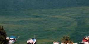 Tatil cennetinde denizin rengi değişti