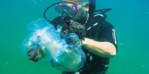 Marmara Denizi'yle ilgili korkutan açıklama