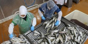 Tütsülenmiş alabalıkla Çin ve Japonya pazarına girdiler