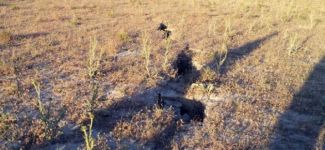 Yeraltı suları azaldı, obruk oluşu arttı