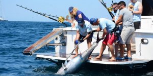 İş adamları en büyük balığı tutmak için yarıştı