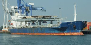 Star Fuji’ye elveda Star Damon’a merhaba