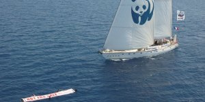Blue Panda teknesi Türkiye'ye geldi