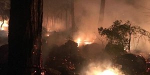 Muğla'da yat yangını