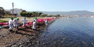 Foça’da denizi kirleten firmaya 144 bin lira ceza