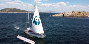 "Blue Panda" plastik kirliliğine dikkati çekiyor