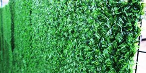 Çim Çit Teknolojisi Her Geçen Gün Daha Fazla Yaygınlaşıyor.