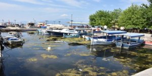 Köyceğiz Gölü ve Dalyan kanalları S.O.S veriyor