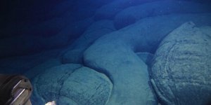 Pasifik Okyanusu'nda genç bir volkan bulundu