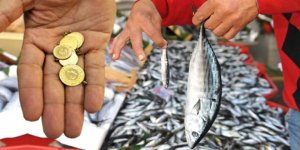 Hamsiye fırtına engeli