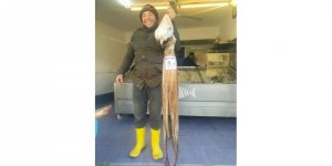 İzmirliler büyük ahtapot yakaladı