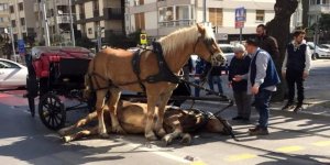 Adada fayton yasaklandı, faytoncular ise belediyede çalışacak