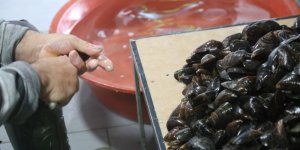 Ekmek iki kabuğun arasında