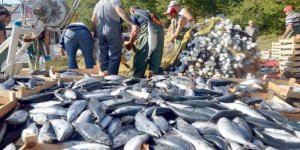 Kaçak avcılığa geçit yok