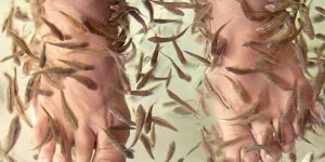 Gölden izinsiz sülük toplamaya 73 bin 747 lira ceza