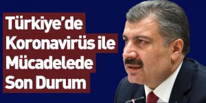 Türkiye'de Koronavirüs ile Mücadelede Son Durum