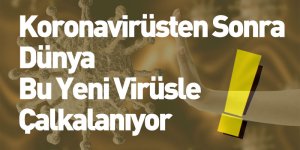 Koronavirüsten Sonra Dünya Bu Yeni Virüsle Çalkalanıyor