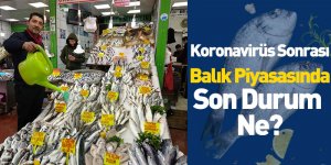 Koronavirüs Sonrası Balık Piyasasında Son Durum Ne?