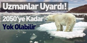2050’ye Kadar Yok Olabilir