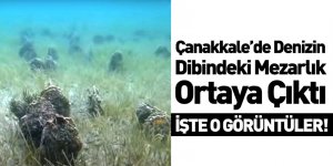 Müjdat Turan: Denizin Dibi Midye Mezarlığına Döndü