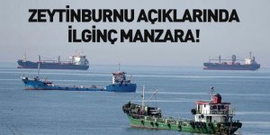 Koronavirüs Nedeniyle Yük Bulamayan Gemiler Zeytinburnu'nda Demirledi