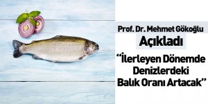 “İlerleyen Dönemde Denizlerdeki Balık Oranı Artacak”