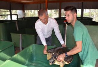 Neşet Tarhan "Caretta carettalara sahip çıkılsın"