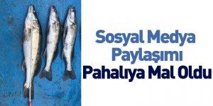 Sosyal Medya  Paylaşımı Pahalıya Mal Oldu