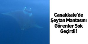 Şeytan Mantası Çanakkale'de Görüntülendi