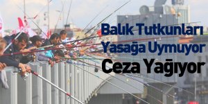 Balık Tutkunları Yasağa Uymuyor! Ceza Yağıyor