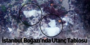 İstanbul Boğazı’nda Utanç Tablosu