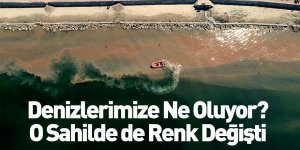 Mudanya Sahilinde Denizin Rengi Değişti