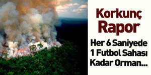 Dünya Kaynakları Enstitüsü Yok Olan Orman Raporunu Yayımladı