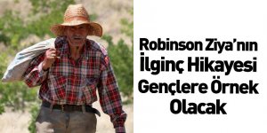 Robinson Ziya'nın Yetiştirdiği Meyvelerin Hasadı Toplandı