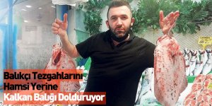 Balıkçı Tezgahlarını Hamsi Yerine Kalkan Balığı Dolduruyor