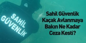 Sahil Güvenlik Komutanlığından Yasa Dışı Avcılığa Ağır Ceza