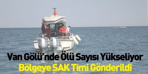 Van Gölü'nde Ölü Sayısı Yükseliyor