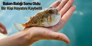 Balon Balığı Sonu Oldu