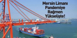 Mersin Limanı'nda Konvansiyonel Yük Hacmi Arttı