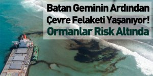 Batan Geminin Ardından Çevre Felaketi Yaşanıyor!
