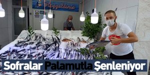 Sofralar Palamutla Şenleniyor
