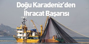 Doğu Karadeniz'den 33 bin 55 Tonluk Su Ürünleri İhracatı