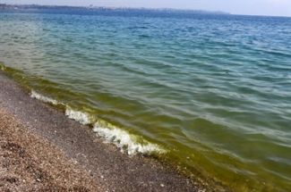 Konyaaltı Sahili'nde deniz yeşile döndü