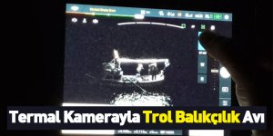 Termal Kamerayla Trol Balıkçılık Avı