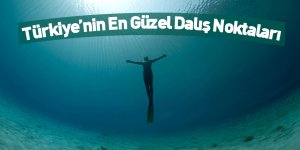Türkiye’nin En Güzel Dalış Noktaları