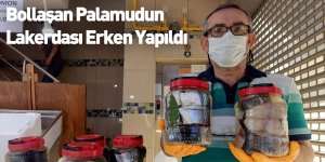 Bollaşan Palamudun Lakerdası Erken Yapıldı