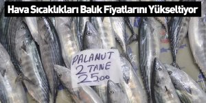 Hava Sıcaklıkları Balık Fiyatlarını Yükseltiyor